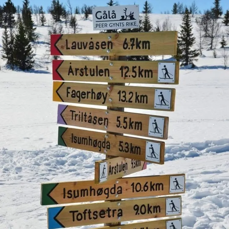 verdens beste skiløyper.webp