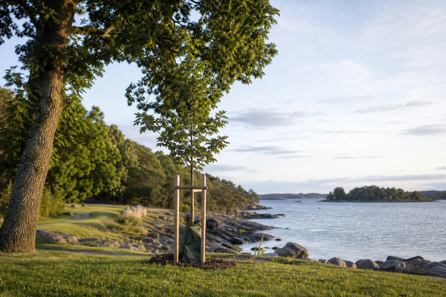 Lokale vekstforhold i Vestfold