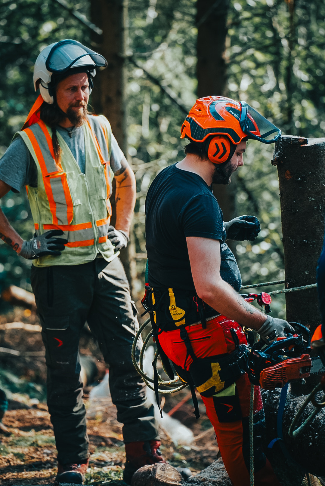 Hjelm med hørselvern for motorsagbrukere arborist.jpg