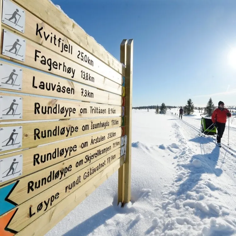 Leie av utstyr