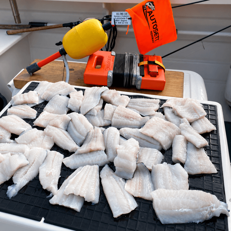 Autosett Large - Perfekt for sjøfiske.  fishing result.png